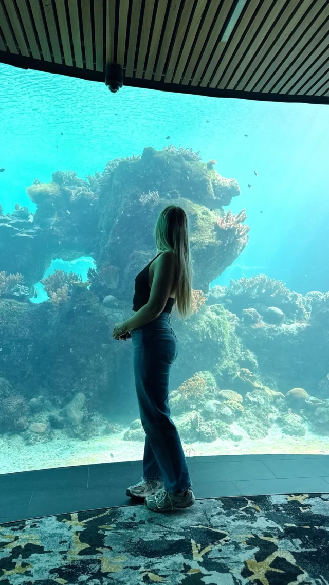 Wait.. there’s actually a reef inside the resort?! 🐠🥹🌴

Daydream Island is one of the most incredible places I’ve ever been to, and I think this resort may be one of the coolest places I’ve ever stayed at.. 😍

📍 @daydreamislandresort